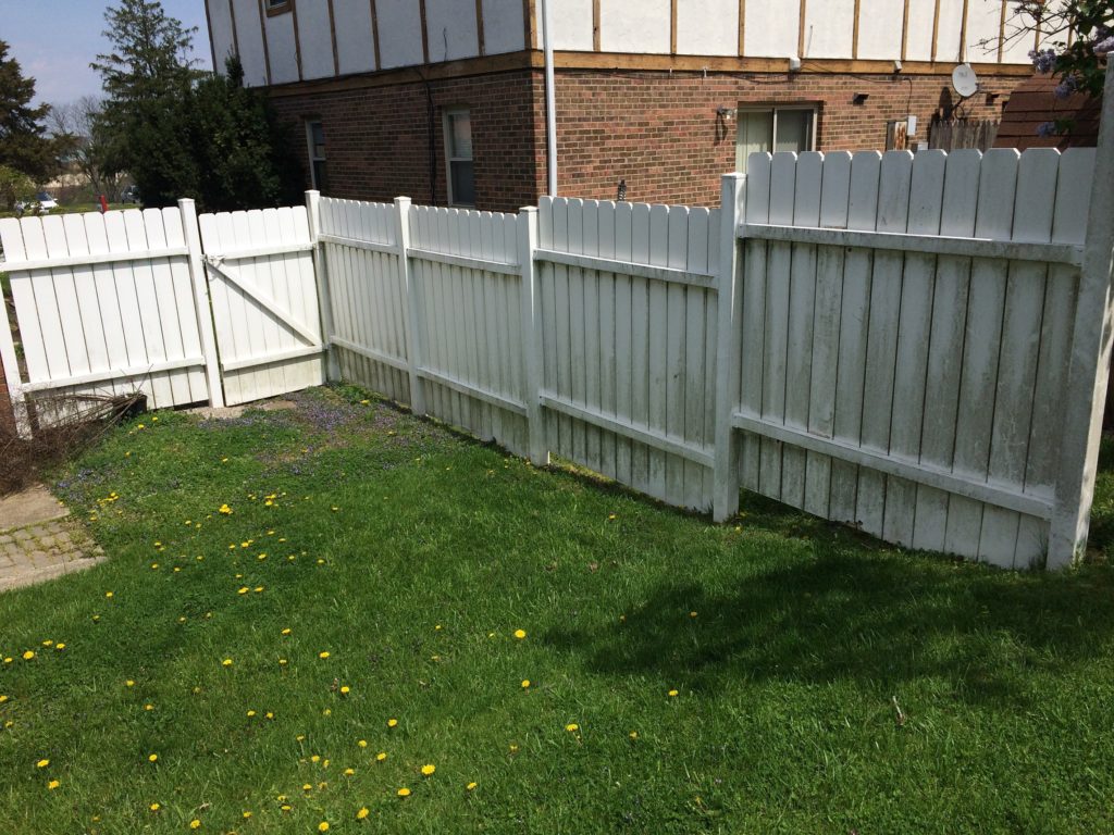 Fence before